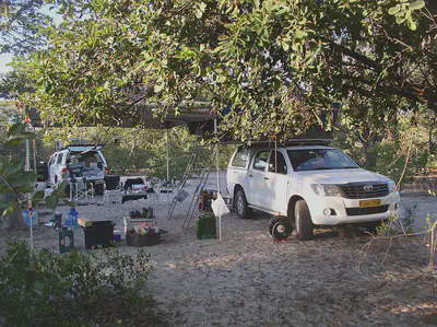 Field camp at Elundu forest