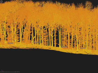 First images from a LiDAR scan, fall 2022. Copyright: M. Strohbach
