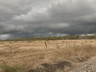 May the rains hit the dry forest soon!