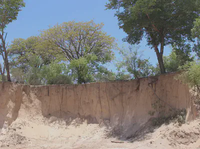 Deep Roots in Namibia